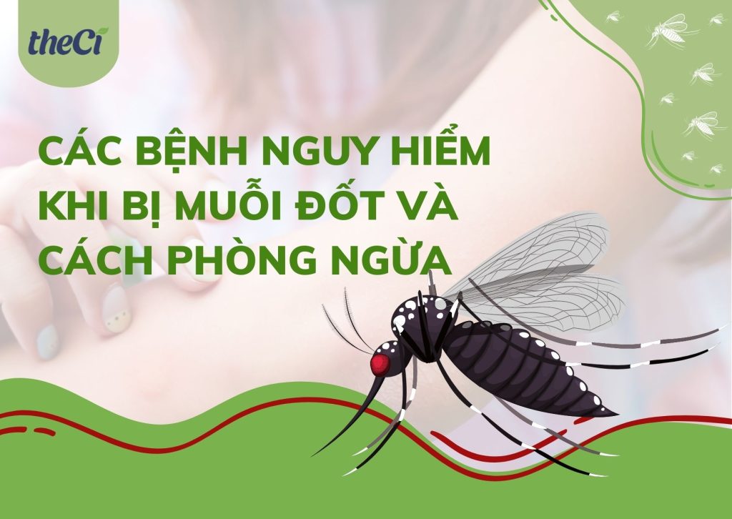 Các bệnh nguy hiểm khi bị muỗi đốt và cách phòng ngừa